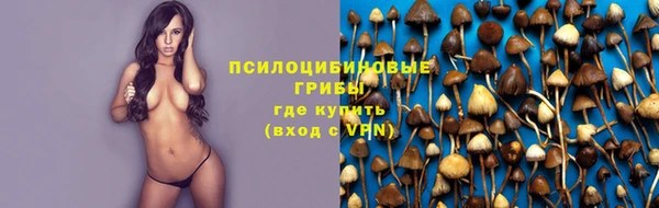 метадон Козловка
