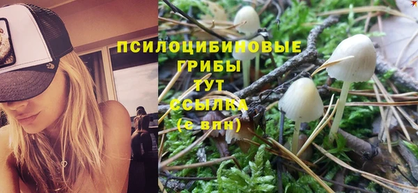 метадон Козловка